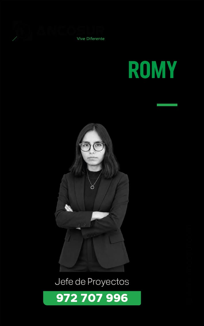 Romy García, Jefe de Proyectos de Ancosur
