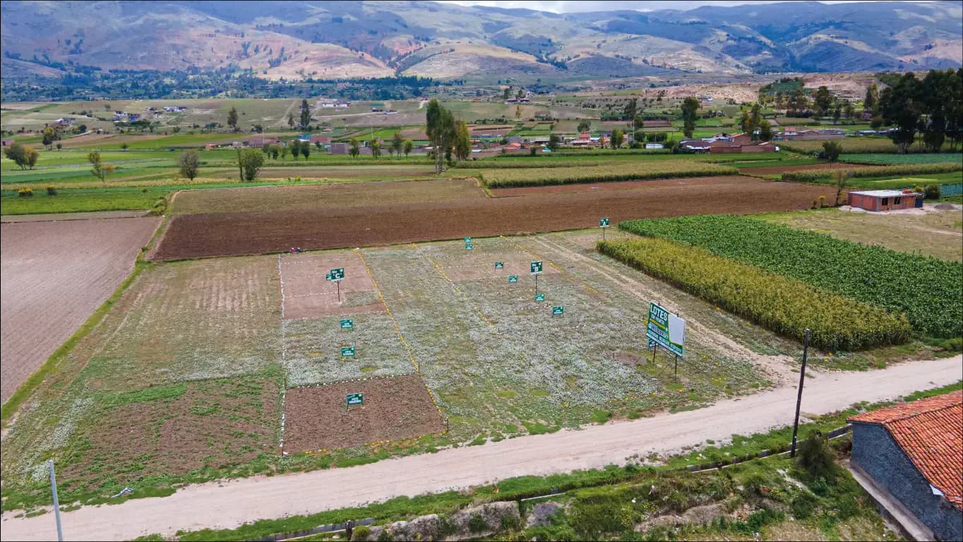Proyecto entregado La Huerta Vista Alegre