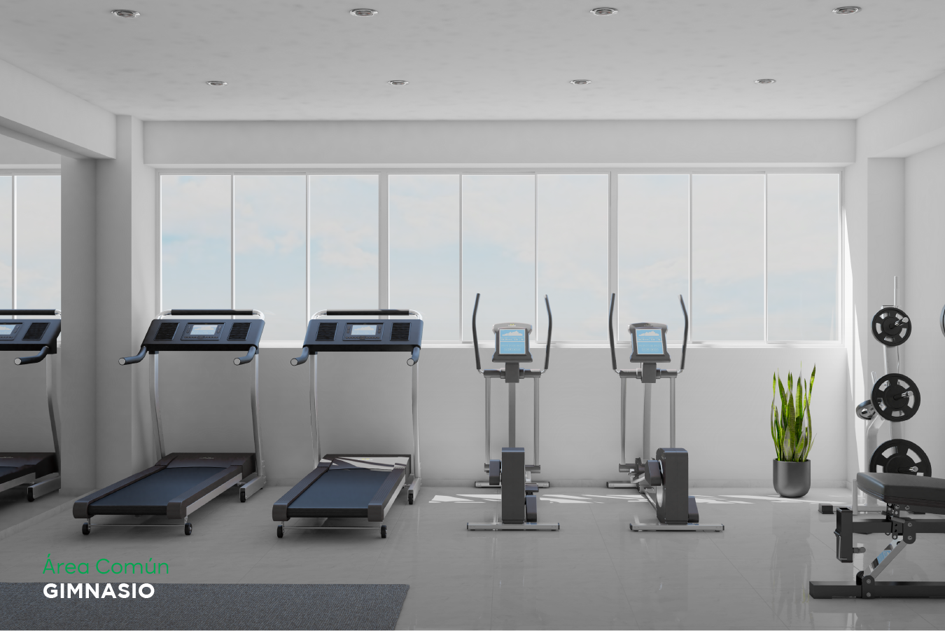 Gimnasio de Distrito San Carlos